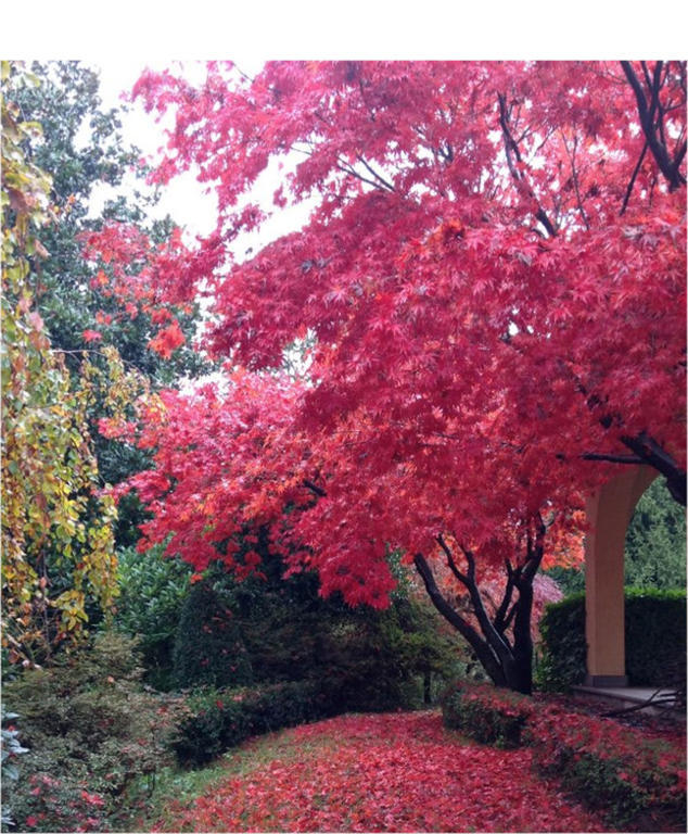 阿拉加扎拉达住宿加早餐旅馆 Prato Sesia 外观 照片